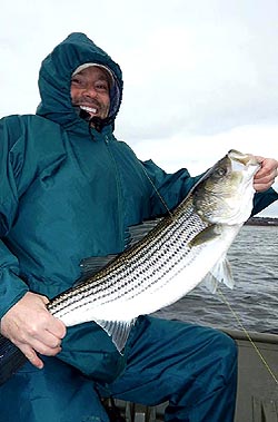 Striper fishing at Country Haven Miramichi Lodge & Cottages
