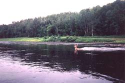 vacation cottage rentals in New Brunswick, Canada