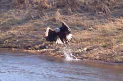 vacation cottage rentals in New Brunswick, Canada