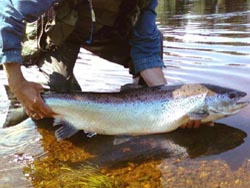 vacation cottage rentals in New Brunswick, Canada