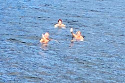 vacation cottage rentals in New Brunswick, Canada