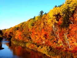 vacation cottage rentals in New Brunswick, Canada