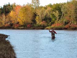 vacation cottage rentals in New Brunswick, Canada