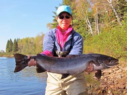 A beautiful fall fish