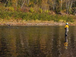 April Vokey working a nice Salmon