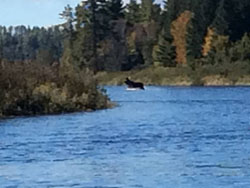 vacation cottage rentals in New Brunswick, Canada