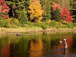 vacation cottage rentals in New Brunswick, Canada