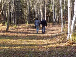 vacation cottage rentals in New Brunswick, Canada